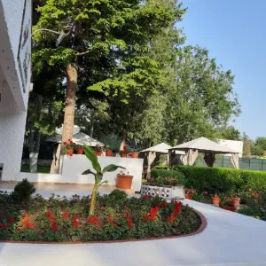 Hotel Rodica
