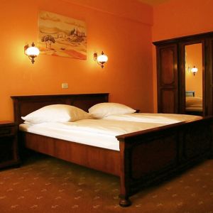 Hotel Coandi