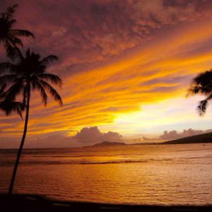 Hotel Hilton Prince Kuhio