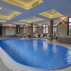 Hotel Conacul Ambient