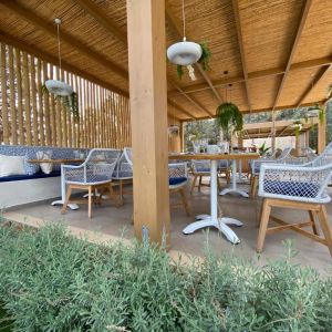 Kyknos Beach Hotel and Bungalows