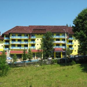 Hotel Bradul