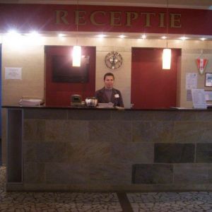Hotel Parc Moneasa