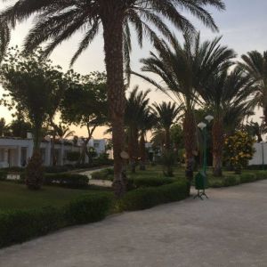 Hotel Menaville Safaga