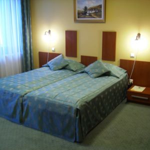 Hotel Conacul Domnesc