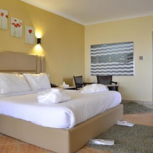 Regency Plaza Aqua Park and Spa Resort