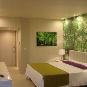 Hotel Eden Roc Resort
