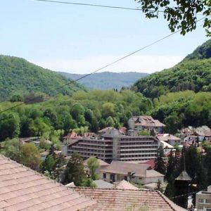 Hotel Olanesti
