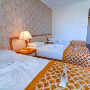 Hotel Pine House