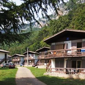 Camping Medveja casute si apartamente