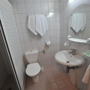 Hotel Vladislav Party