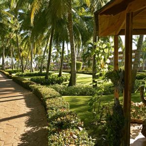 Hotel Iberostar Punta Cana