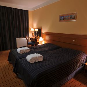 Hotel Aquaticum Termal and Wellness