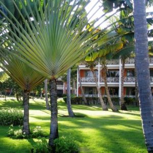 Hotel VIK Arena Blanca
