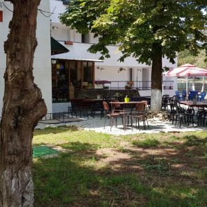 Hotel Camelia