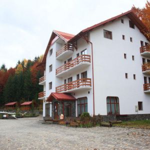 Hotel Paltinis Borsa