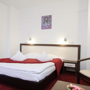 Hotel President Olanesti