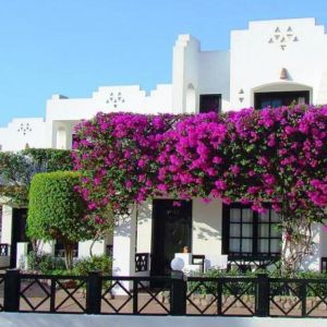 Verginia Sharm Resort and Aqua Park
