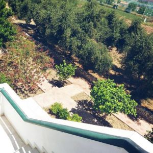 Hotel Eleni