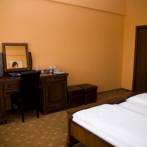 Hotel Coandi
