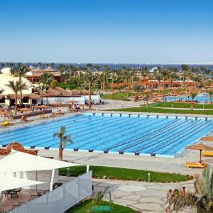 Hotel Desert Rose