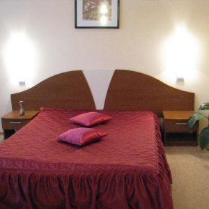 Hotel Orizont Cozia