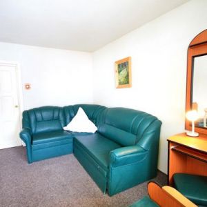 Hotel Bradul