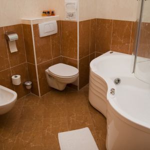 Hotel Coandi