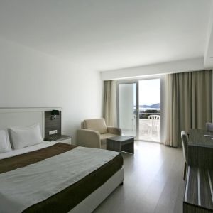 Hotel Club Shark