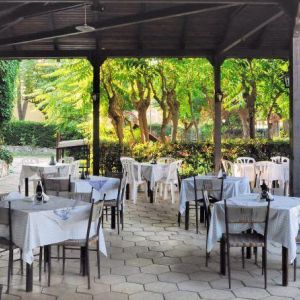 Hotel Mimoza Beach