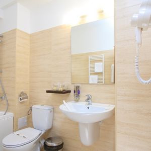 Hotel President Olanesti