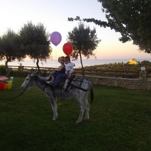 Carme Villas Resort