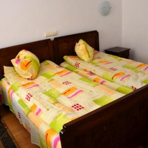 Hotel Tismana