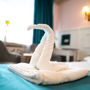 Hotel Parc Mamaia