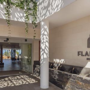 Hotel Flamingo Beach Mate
