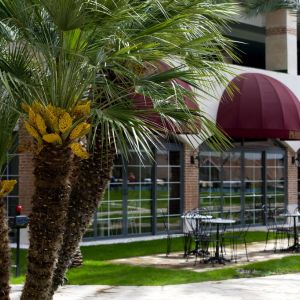 Hotel Limak Limra Resort