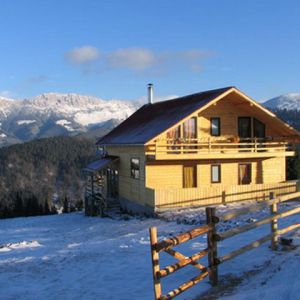 Vila Paradis Valahia