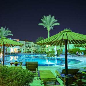 Dive Inn Resort