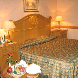 Hotel OASIS