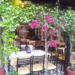 White Rose Hotel Pieria