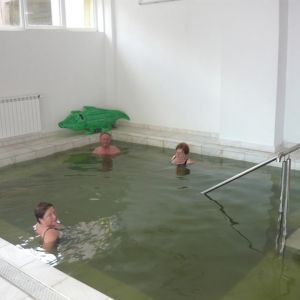 Hotel International Herculane