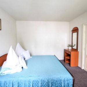 Hotel Bradul