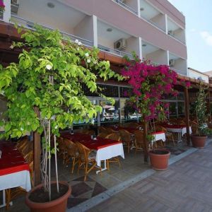 Hotel Grand Viking