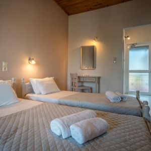 Hotel Cactus