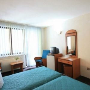 Hotel Bradul