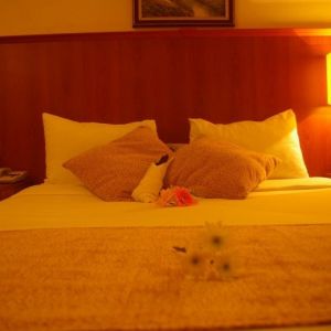 Hotel Grand Beyazid