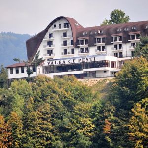 Complex Turistic Valea cu Pesti