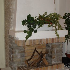 Hotel Olanesti