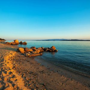Hotel Theoxenia Halkidiki