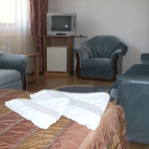 Hotel Alex Horezu